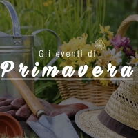 Gli eventi di Primavera!